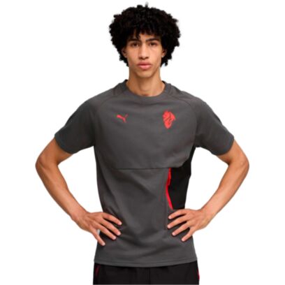 T-shirt Puma Ac Milan Gris Unisexe