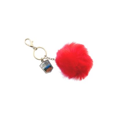 porte cles