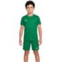 ensemble Nike Park 26 enfant maillot short vert