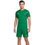 ensemble Nike Park 26 homme maillot short vert