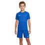 ensemble nike park viii maillot short pour enfant bleu royal