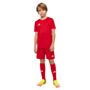 ensemble adidas entrada 26 enfant survetement maillot short chaussettes rouge