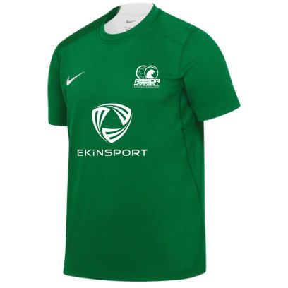 Camiseta de hand ASSOA Handball Verde para niño