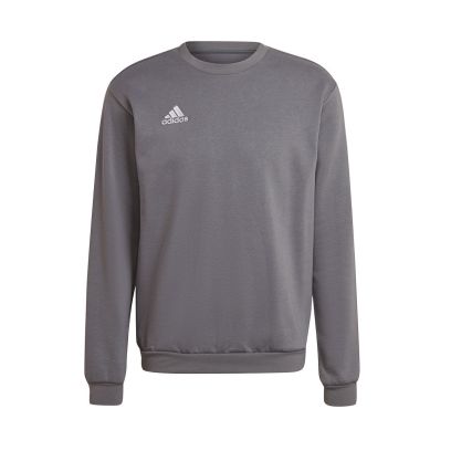 Sweat-shirt adidas Entrada Gris Unisexe