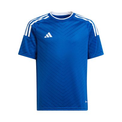 Maillot adidas Campeon Bleu Royal pour Enfant