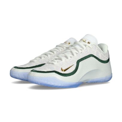 Chaussures de basket Nike Lebron 23 From This Point Forward Blanc