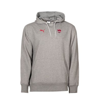 Sweat-shirt Puma Baskonia Basket Gris