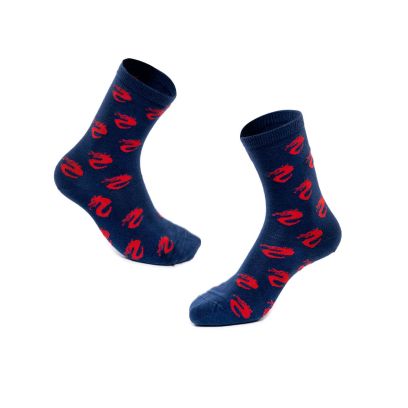 Chaussettes SD Huesca Bs Bleu Foncé & Rouge