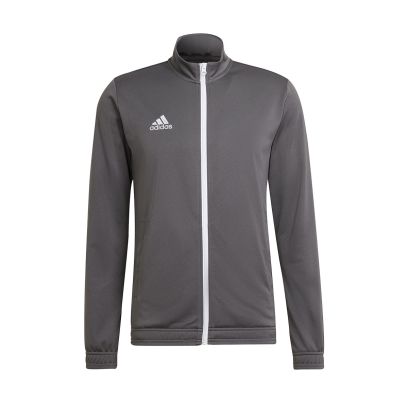 Veste adidas Entrada 22 Gris pour Homme