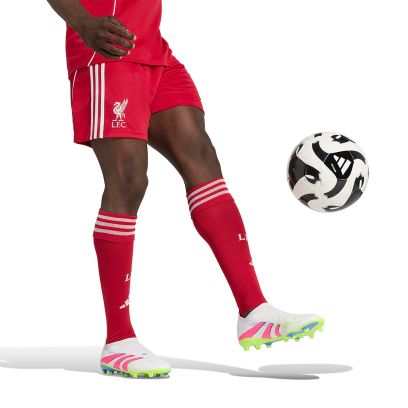 Short adidas Liverpool Fc Multicolore