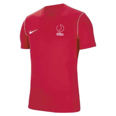 Maillot Nike US Toucy Handball pour enfant