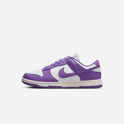 chaussures nike dunk low next nature femme dd1873 108