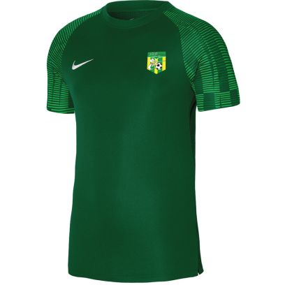 Maillot Nike JA Penvénan Vert pour enfant