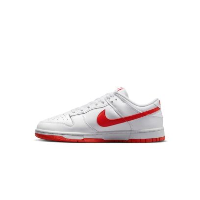 Chaussures Nike Dunk Low Retro pour Homme - DV0831-103