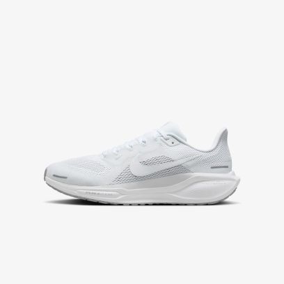 Chaussures de running Nike Pegasus 41 pour homme
