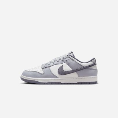chaussures nike dunk low retro premium blanc homme fj4188 100