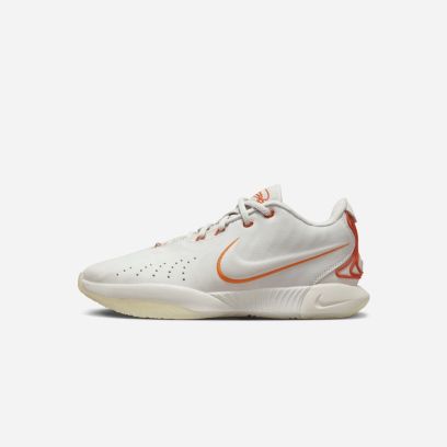 Chaussures de basket Nike LeBron XXI Gris pour homme FV2345-001