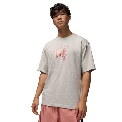 T-shirt Jordan Goat Gris pour homme