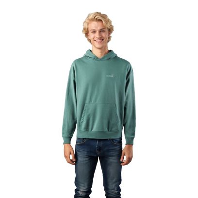 Sweat-shirt Meteora Essentials Vert pour Homme