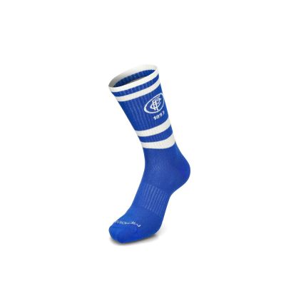 Chaussettes Memoraball Socks Fc Porto Bleu