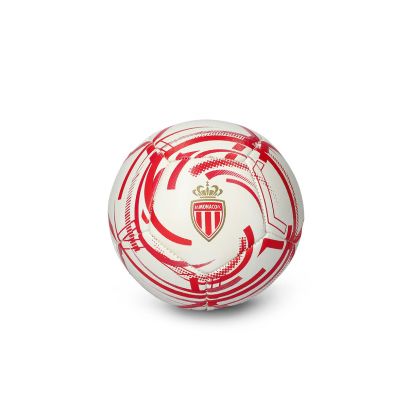 Ballon Mizuno Ligue 1 Multicolore