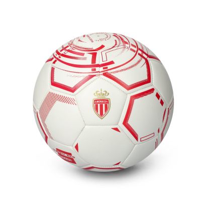 Ballon Mizuno Ligue 1 Multicolore