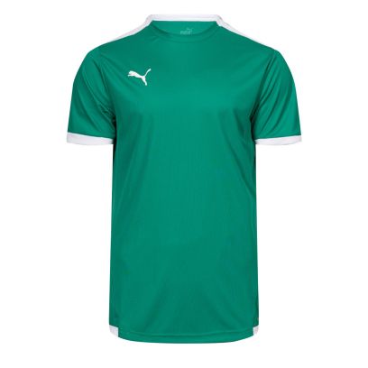 Maillot Puma Team Liga Vert pour Enfant