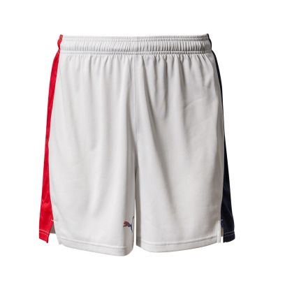 Short Puma Baskonia Basket Gris pour Enfant
