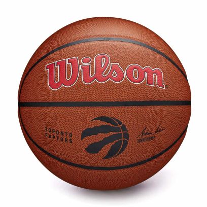 Ballon Wilson Toronto Raptors Marron
