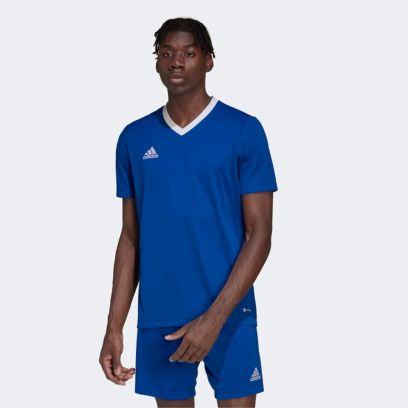 Maillot Adidas Entrada 22 Bleu Royal pour Homme ZG486-HG6283