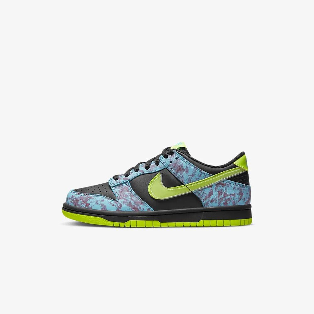 Chaussures Nike Dunk Low SE pour Enfant - DV1694-900 - Multicolore