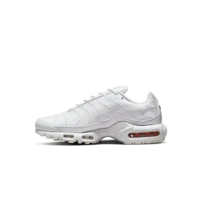 Nike Air Max Plus Men s Shoe AJ2029 EKINSPORT