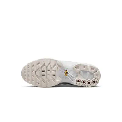 Nike Air Max Plus herenschoen AJ2029 100 EKINSPORT