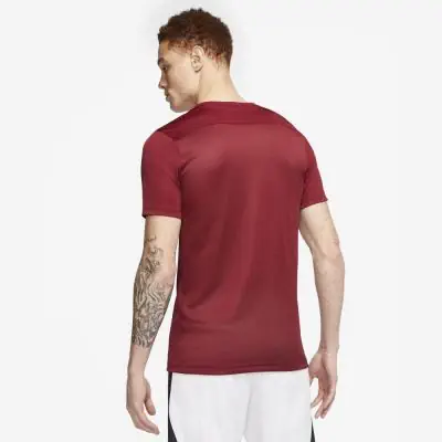 Maglia Nike Park VII Uomo BV6708 677 Bordeaux EKINSPORT