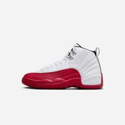 New jordan 12 mens on sale
