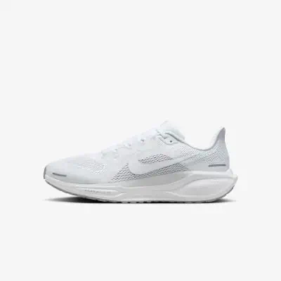Scarpe Nike Pegasus 41 Bianco per uomo