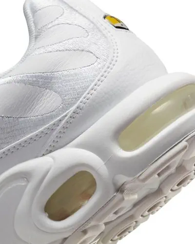 Chaussure Nike Air Max Plus pour Homme AJ2029 100 EKINSPORT