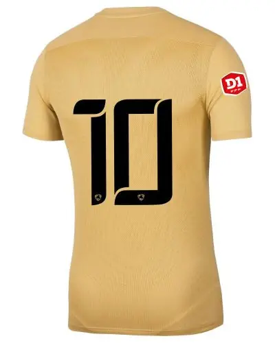 Maillot Nike Park VII pour Homme GOAL Futsal Club EKINSPORT
