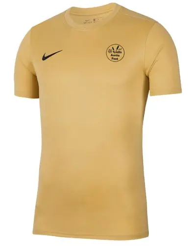 Maillot Nike pour Homme Vallis Aurea Foot BV6708 729. EKINSPORT