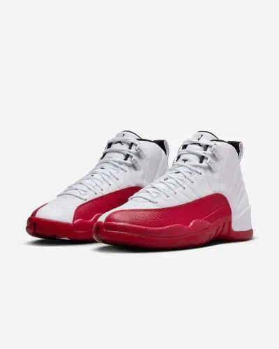 Jordan retro 12 hombre online