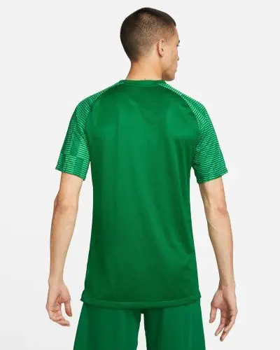 Maillot Nike Academy pour Homme DH8031 302 Vert EKINSPORT