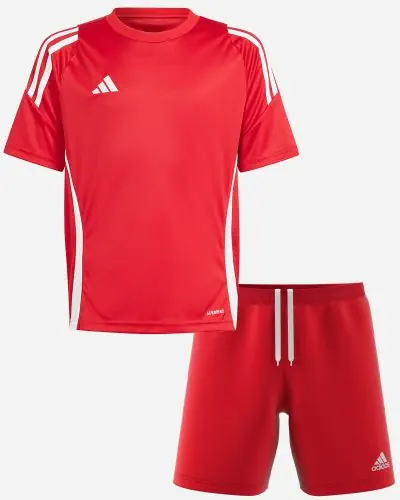 Set producten adidas Tiro 24 voor Heren. Jersey Korte broek 2 artikelen EKINSPORT