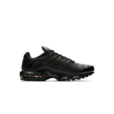 Chaussure Nike Air Max Plus pour Homme AJ2029 001 EKINSPORT