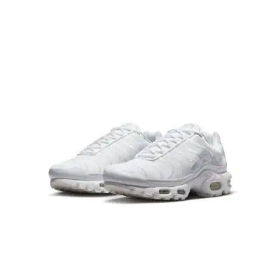 Nike Air Max Plus Men s Shoe AJ2029 EKINSPORT