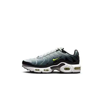 Shoes Nike Air Max Plus for Child - CD0609 | EKINSPORT
