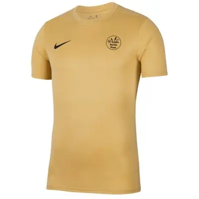 Maillot Nike pour Homme Vallis Aurea Foot BV6708 729. EKINSPORT