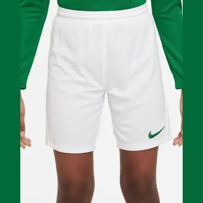 short de football nike park iii enfant bv6865 102
