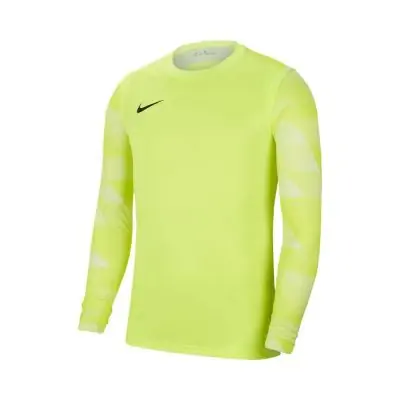 Nike park ii goalkeeper jersey sales