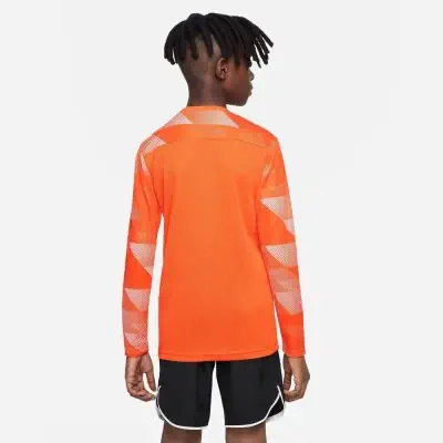 Maillot de gardien Nike Gardien Park IV pour Enfant CJ6072 EKINSPORT