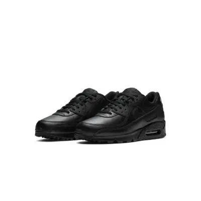 Air Max 90 Ltr shoes for men EKINSPORT